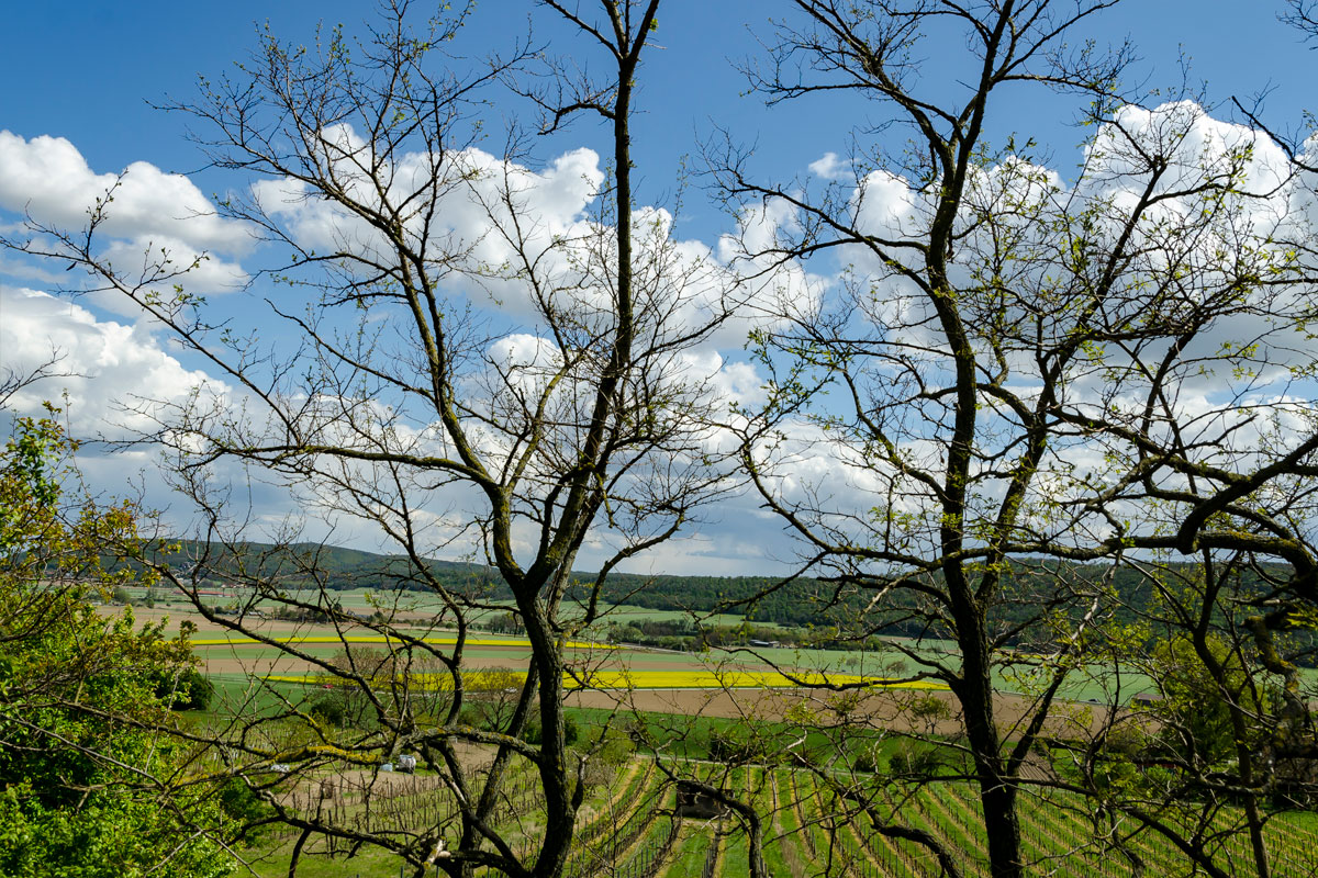 slider_004.jpg